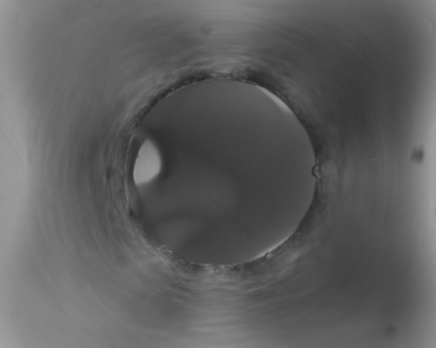 X0000113060913200909181957