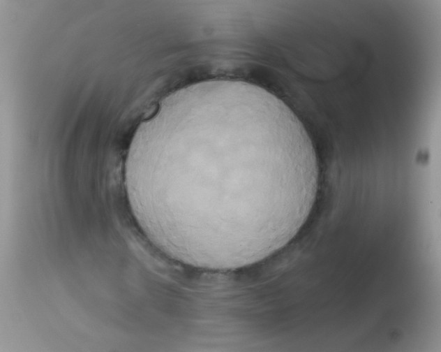 X0000113060914200909181957