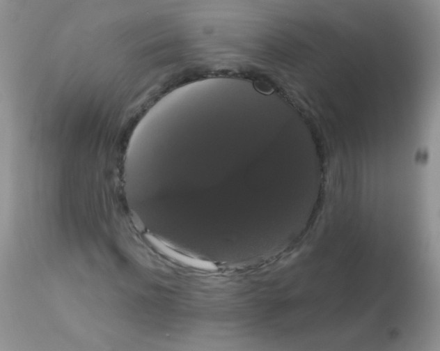 X0000113060916200909181957