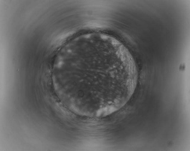X0000113060917200909181957