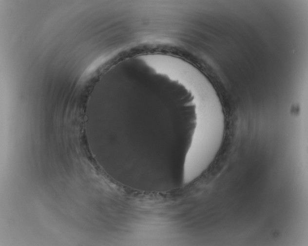 X0000113060919200909181957
