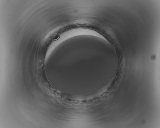 X0000113060920200909181957