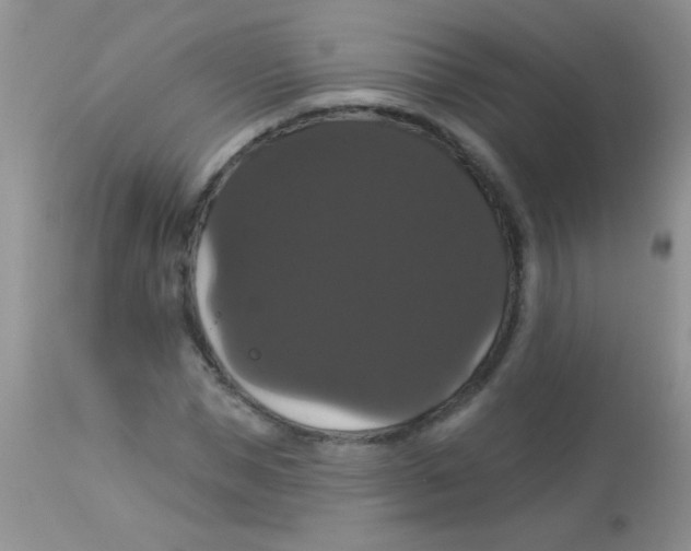 X0000113060921200909181957