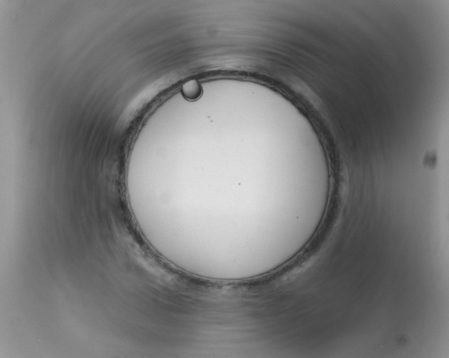 X0000113060922200909181957