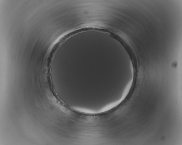 X0000113060923200909181957