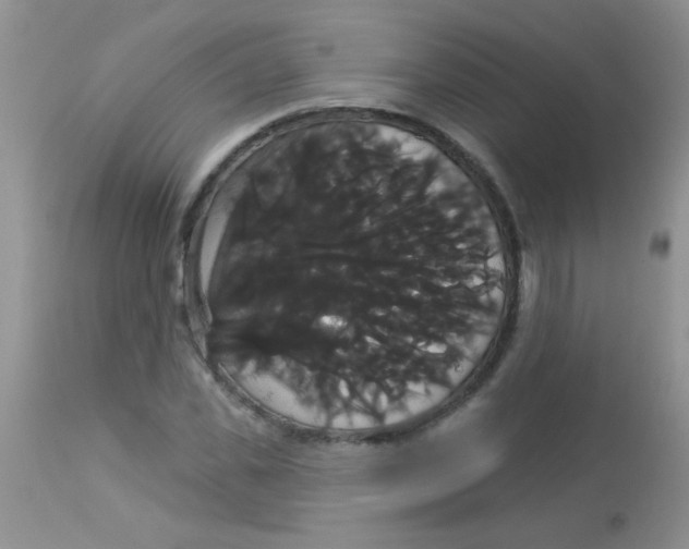 X0000113060925200909181957