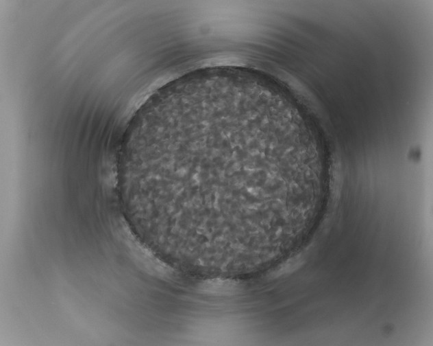 X0000113060929200909181957