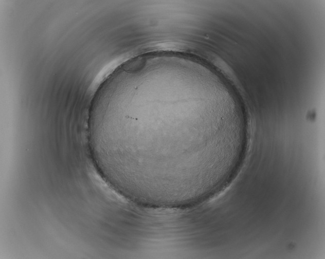X0000113060930200909181957