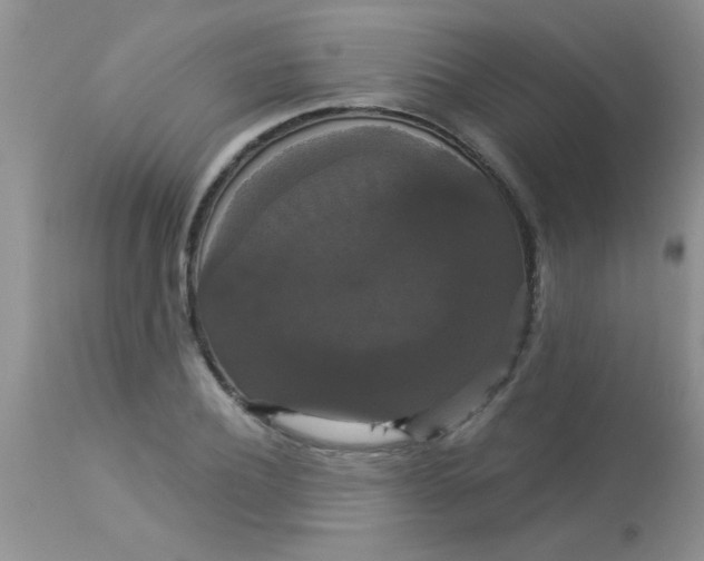 X0000113060932200909181957