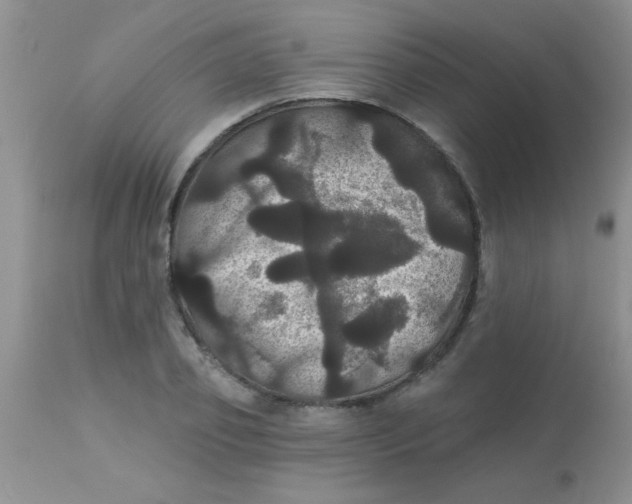 X0000113060933200909181957