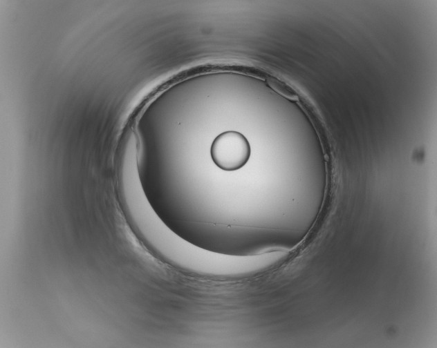 X0000113060935200909181957