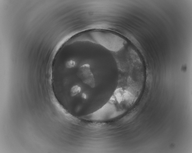 X0000113060939200909181957