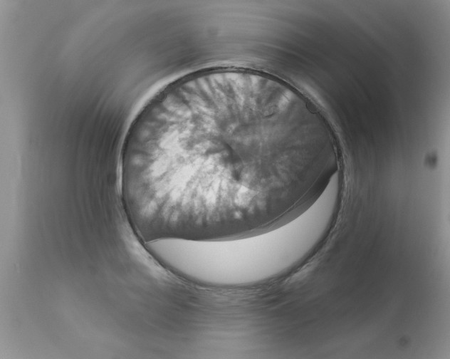 X0000113060940200909181957