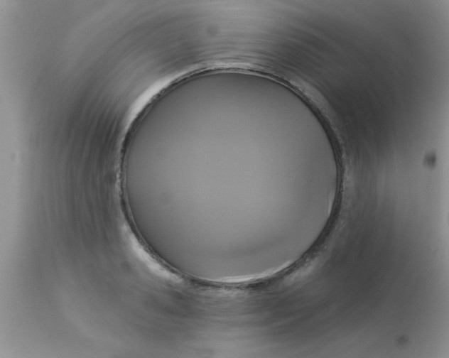 X0000113060941200909181957