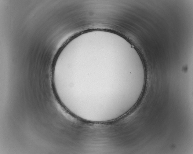 X0000113060942200909181957
