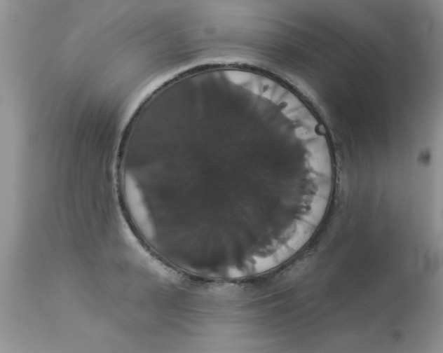X0000113060943200909181957