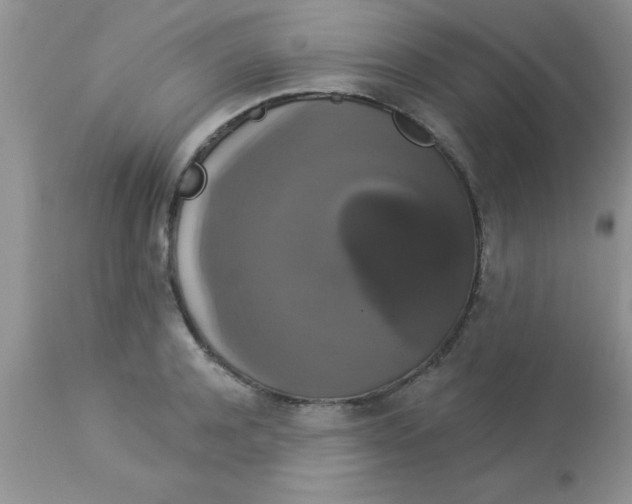 X0000113060944200909181957