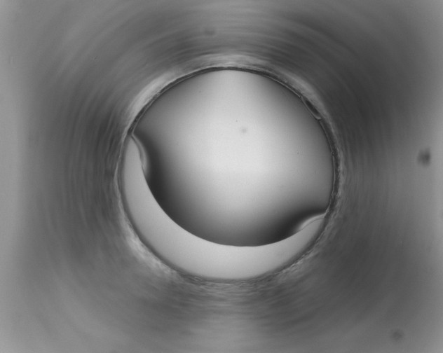 X0000113060946200909181957