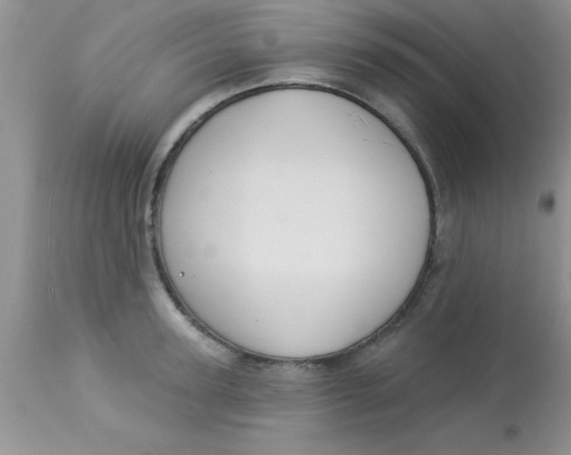 X0000113060947200909181957
