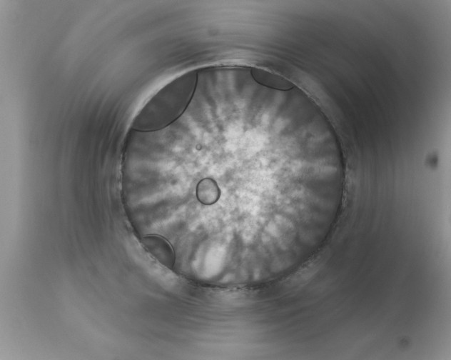 X0000113060948200909181957