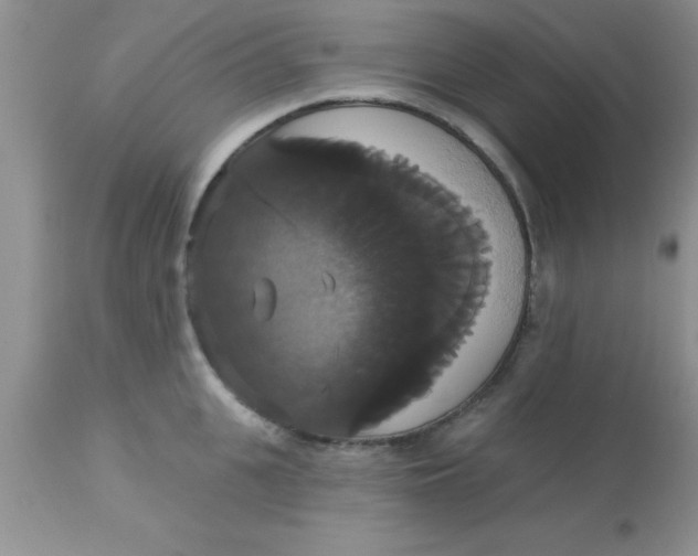 X0000113060951200909181957