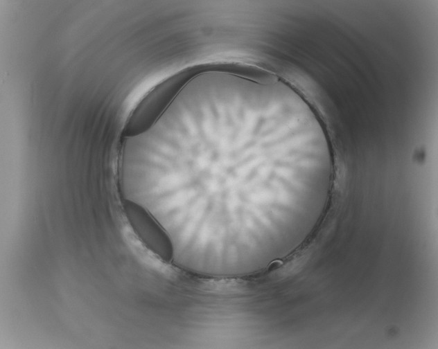 X0000113060952200909181957