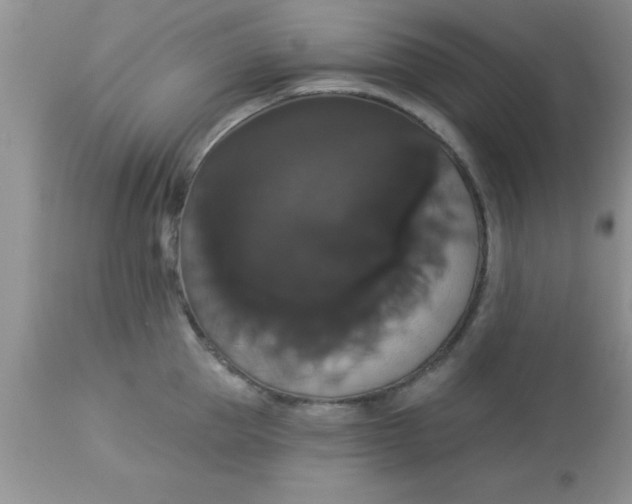 X0000113060953200909181957
