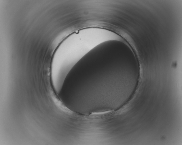 X0000113060954200909181957