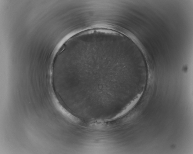 X0000113060955200909181957