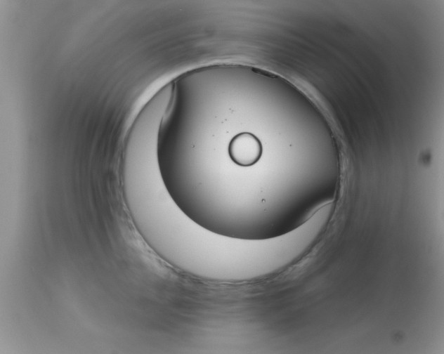 X0000113060956200909181957
