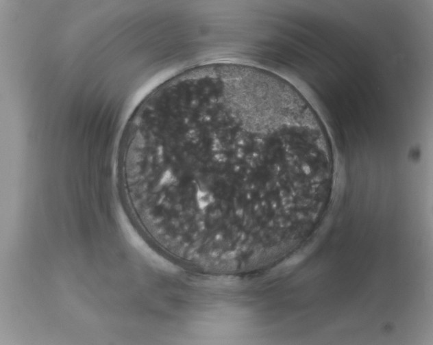X0000113060957200909181957