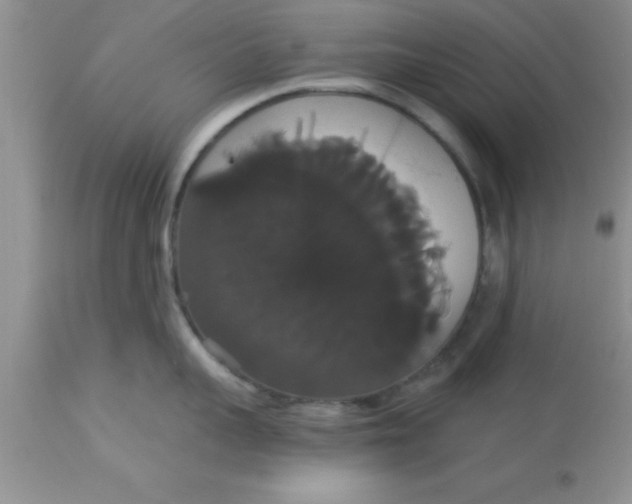 X0000113060959200909181957