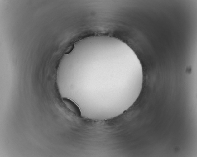 X0000113060961200909181957