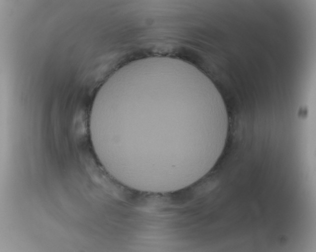 X0000113060962200909181957