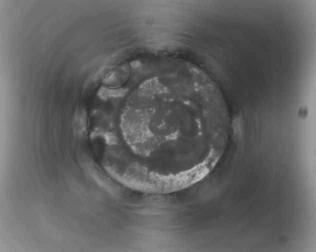 X0000113060963200909181957