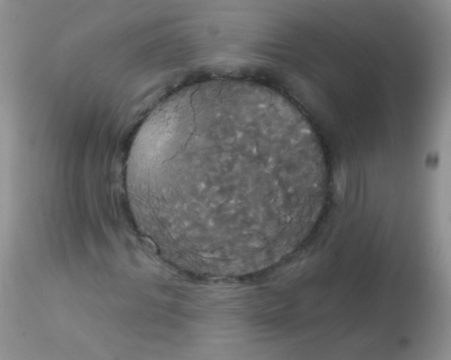 X0000113060964200909181957