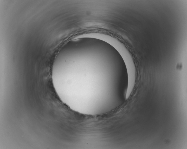 X0000113060965200909181957