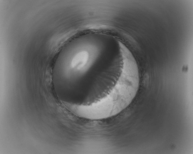 X0000113060966200909181957