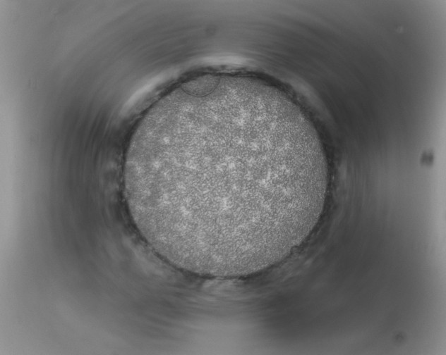 X0000113060967200909181957