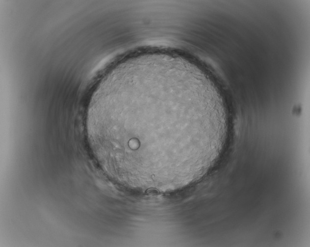 X0000113060968200909181957