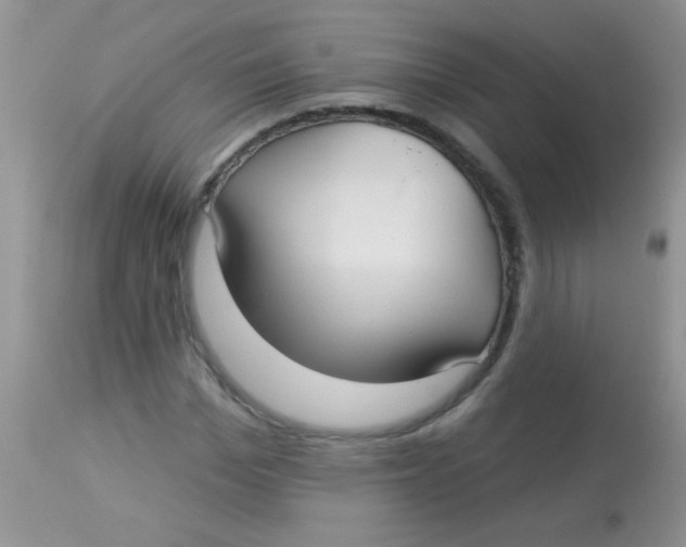 X0000113060969200909181957