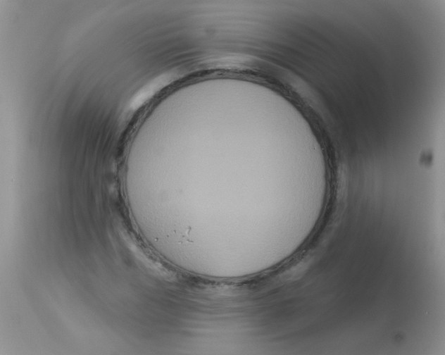 X0000113060970200909181957