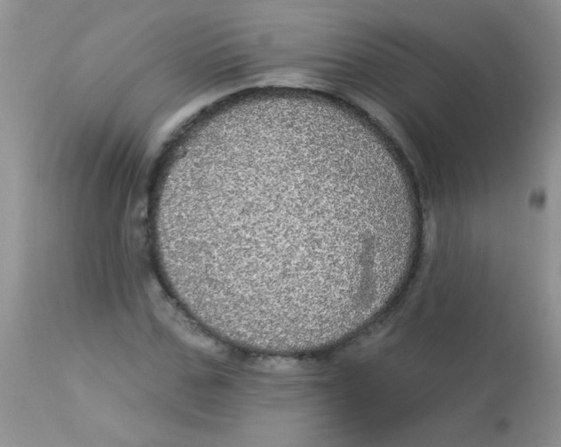 X0000113060971200909181956
