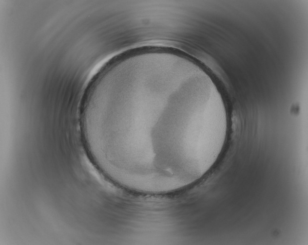 X0000113060972200909181956