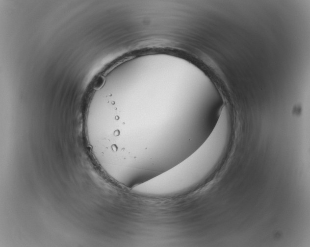 X0000113060973200909181956