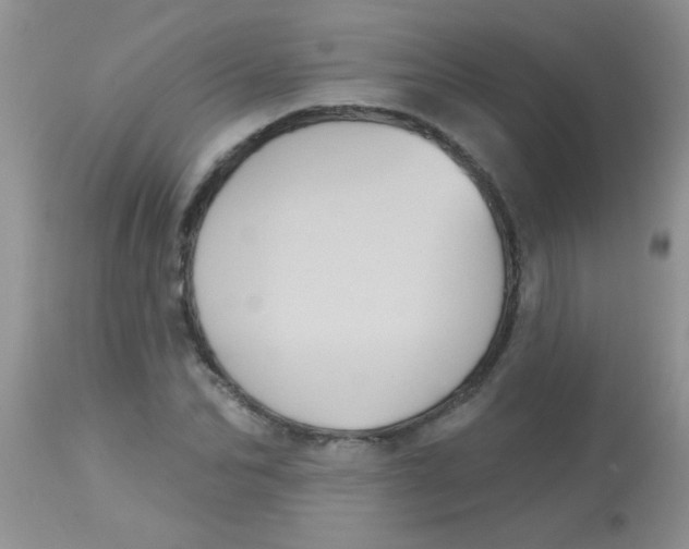 X0000113060974200909181956