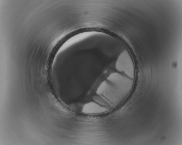 X0000113060975200909181956