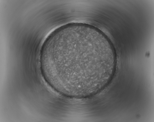 X0000113060976200909181956