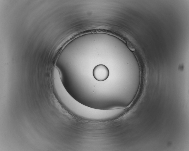 X0000113060977200909181956