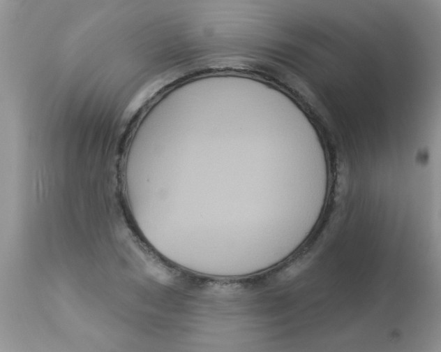 X0000113060978200909181956